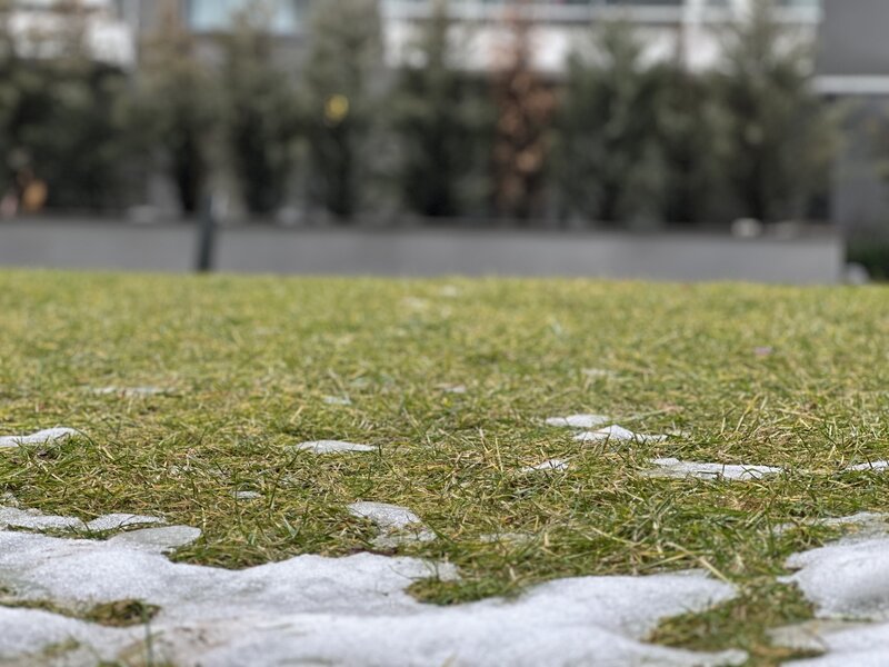 Belvedere, Fabrica de Glucoza, Aviatiei, 2 camere, terasa foarte mare,